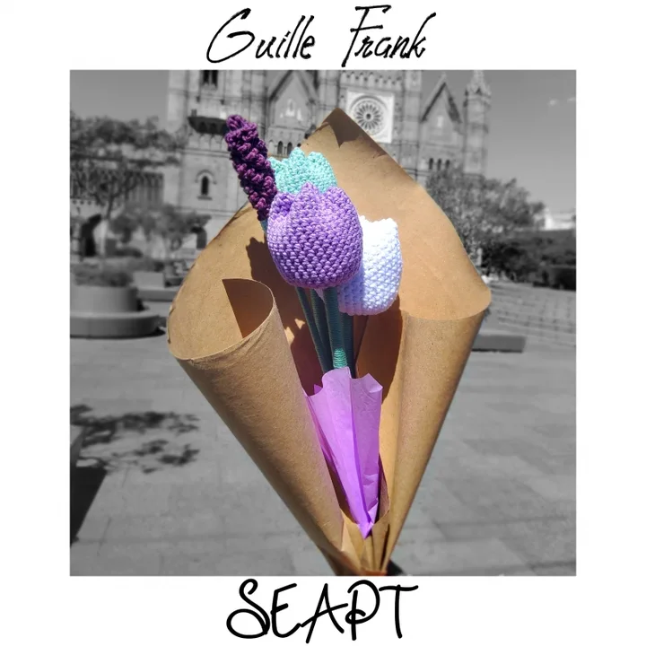 SEAPT · Guille Frank